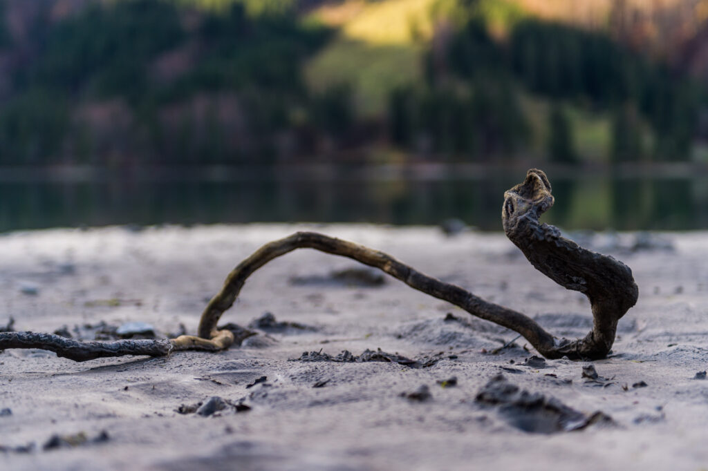 Klöntal Herbst 2019 ©Tobias Marti