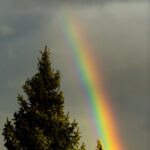 Regenbogen ©Tobias Marti