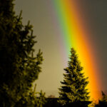 Regenbogen ©Tobias Marti