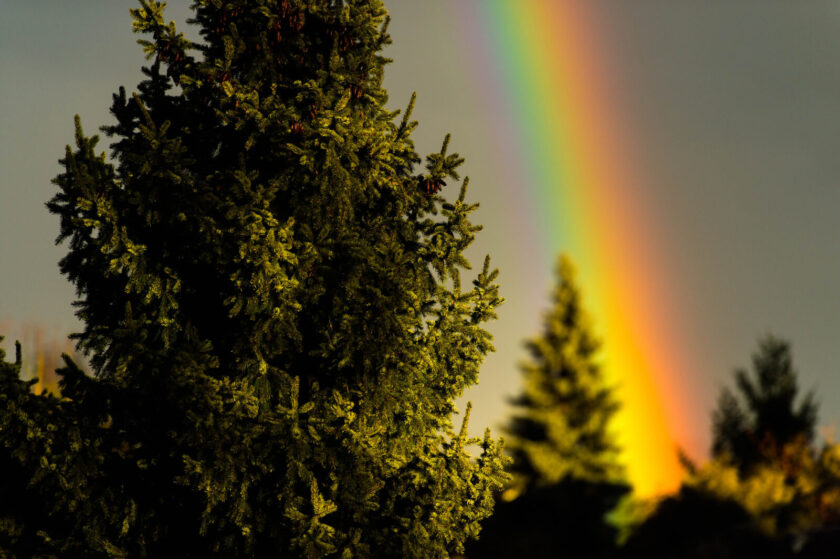 Regenbogen ©Tobias Marti