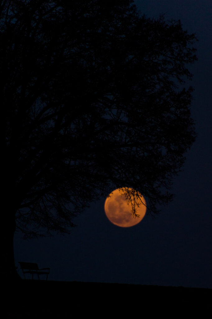 Vollmond 19.02.2019 ©Tobias Marti