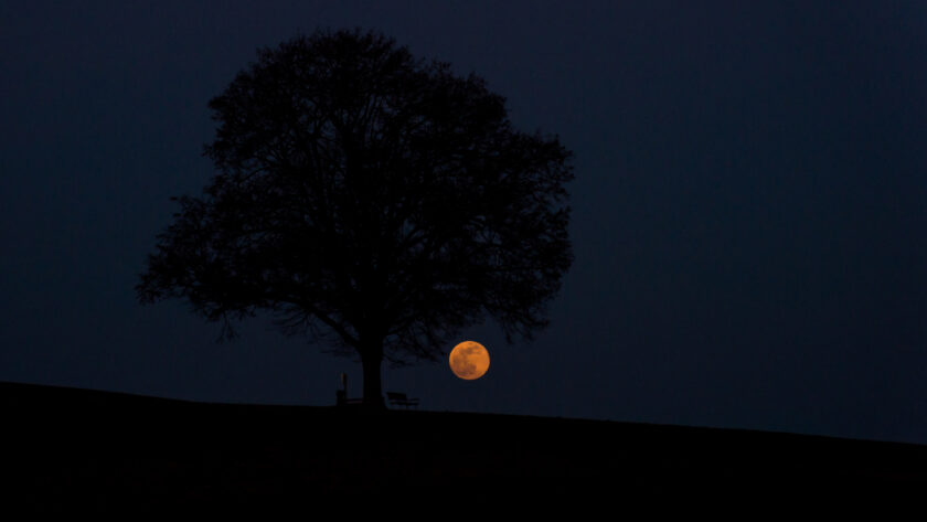 Vollmond 19.02.2019 ©Tobias Marti