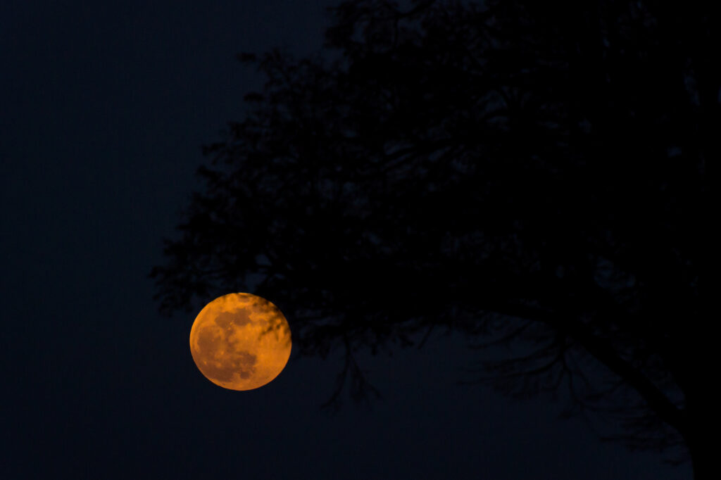 Vollmond 19.02.2019 ©Tobias Marti